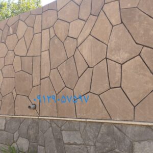 IMG_20220620_081542_4511