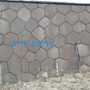 WhatsApp Image 2022-06-19 at 4.30.09 PM