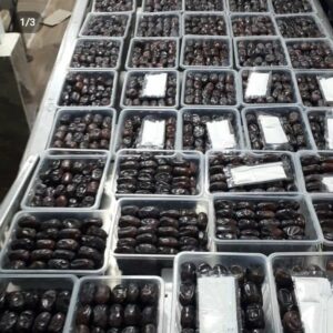 خرما خشکین سیاه دار (10)