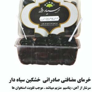 خرما خشکین سیاه دار (14)
