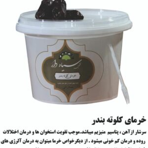 خرما خشکین سیاه دار (15)