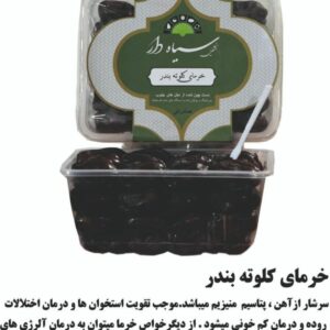 خرما خشکین سیاه دار (16)