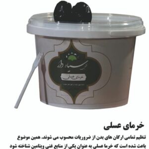 خرما خشکین سیاه دار (5)