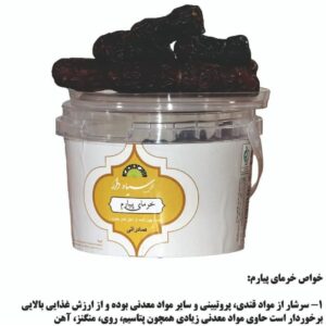 خرما خشکین سیاه دار (6)