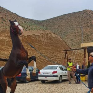 اقامتگاه بومگردی ترکمن تام در کلاله