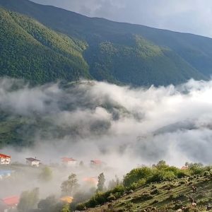 املاک فشکور در چالوس 8