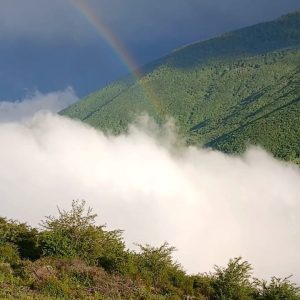 املاک فشکور در چالوس 6