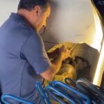 بهترین صافکاری PDR ماهشهر | صافکاری بیرنگ پی دی آر تخصصی ماهشهر 15