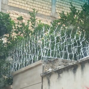 حفاظ شاخ گوزنی و درب آکاردئونی شکاری در گالیکش 10